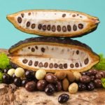 The Ultimate Chocolate and Nut Pairings