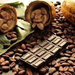 Discovering the Best Cacao Beans in Africa