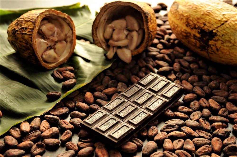 Discovering the Best Cacao Beans in Africa