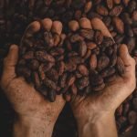 How Fair-Trade Certification Impacts the Chocolate You Eat