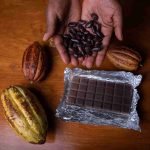 The Legacy of Chocolate in Mexico: From Cacao to Confectionery