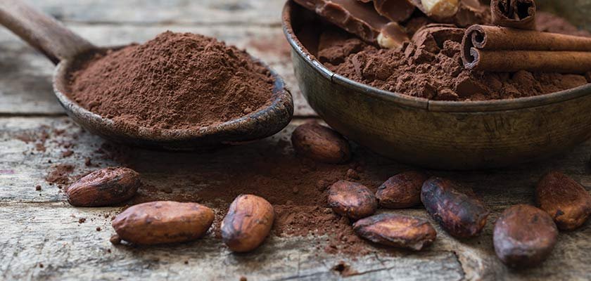The Role of Cacao in Making Fine Chocolate: An In-Depth Guide