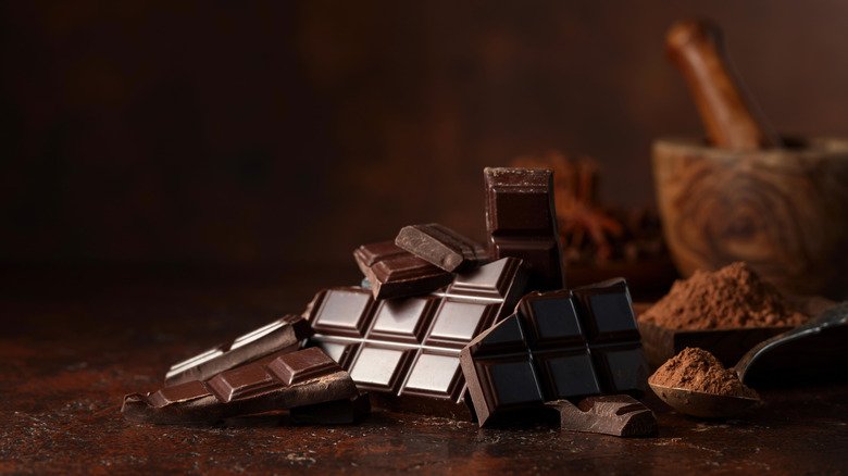 The Best Chocolate for a Plant-Based Diet: Vegan Options You’ll Love